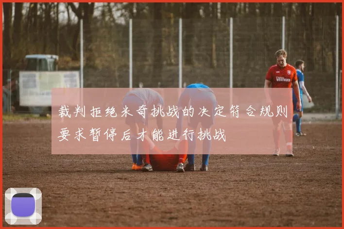 裁判拒绝米奇挑战的决定符合规则要求暂停后才能进行挑战